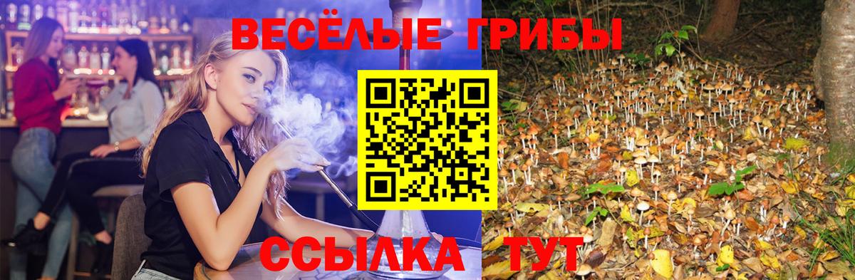 Фурманов  Галлюциногенные грибы мицелий  Вход с VPN 